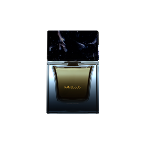 Kamel Oud